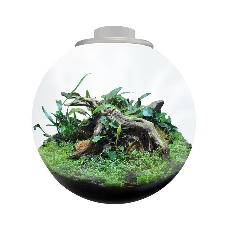 BIOART BOWL 225 WHITE