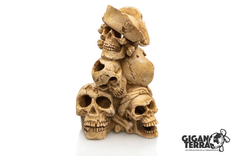 Montagne de skull human 25x21x27,7cm