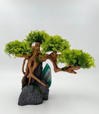 Hovedbilde Bonsai tre 24x11,5x21,5cm