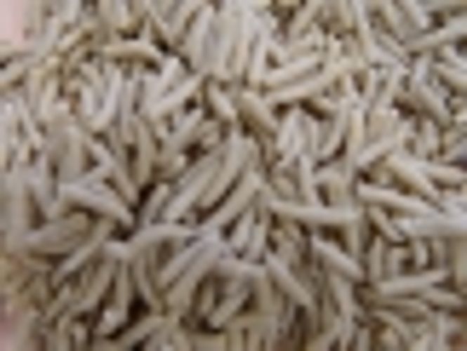 Hovedbilde Topinsects Pinkies 450g MÅ HENTES