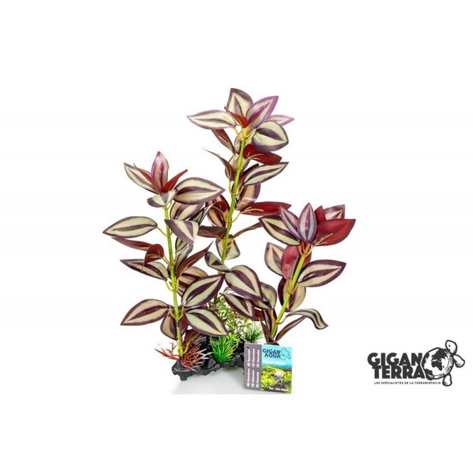 Hovedbilde Tradescantia stående 35cm - 00663