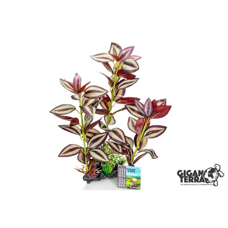 Tradescantia stående 35cm - 00663