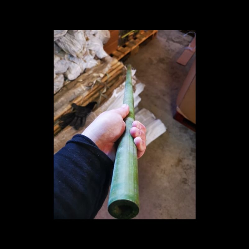 Grønn bambus 1m