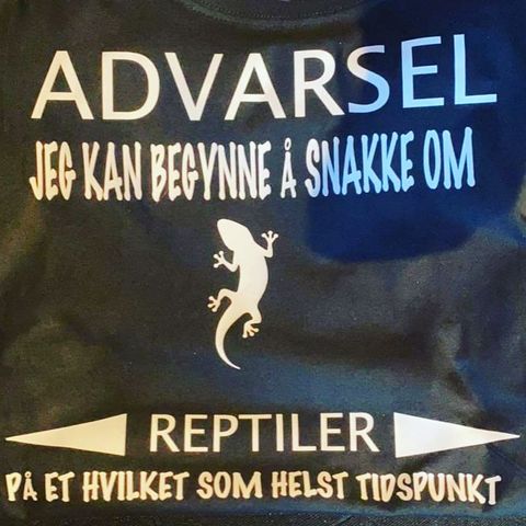Hovedbilde ADVARSEL T-skjorte L