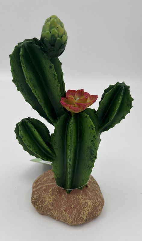 P2W kaktus med blomster 16,5x10,5x22,5cm