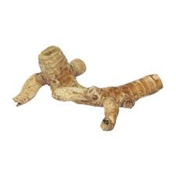 Habistat Bamboo Root MEDIUM