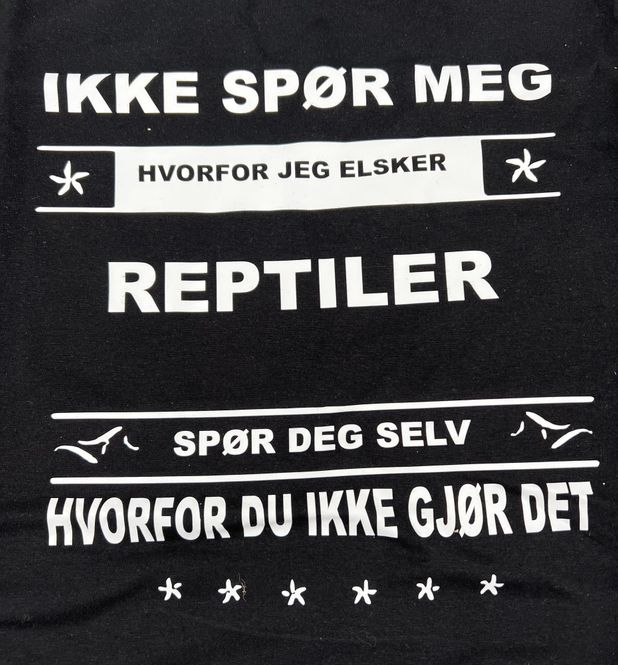Hovedbilde 