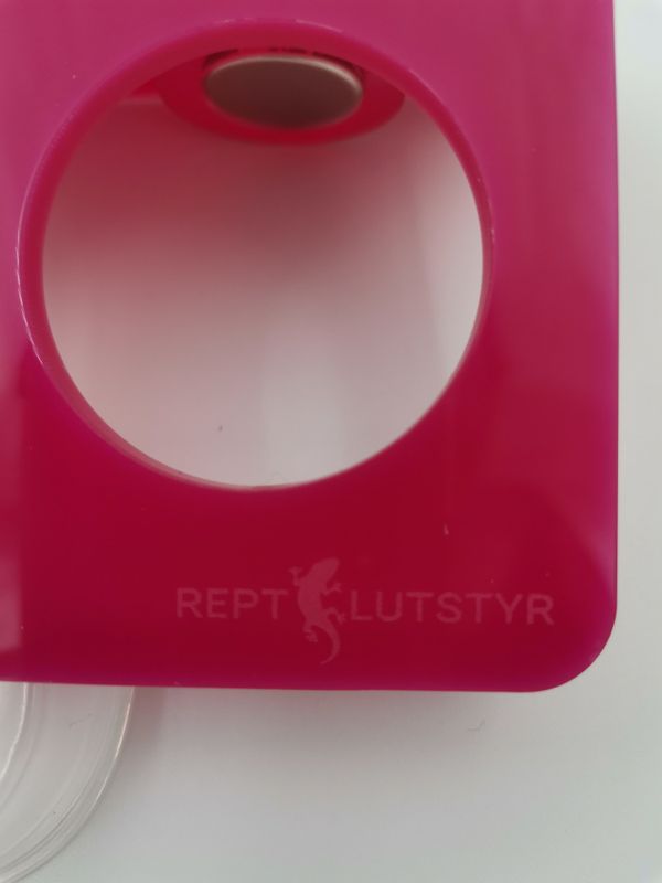 Magnetic gecko Ledge rosa S