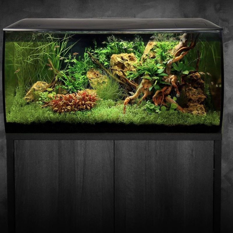 Fluval Flex akvarium sett 123liter