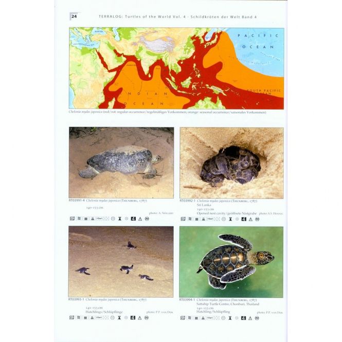 Hovedbilde TERRALOG VOL.4 TURTLES OF THE WORLD ØST & ...