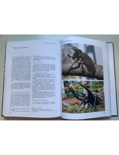 Breeding Beetles - The Substantial Guide By Benjamin Harink