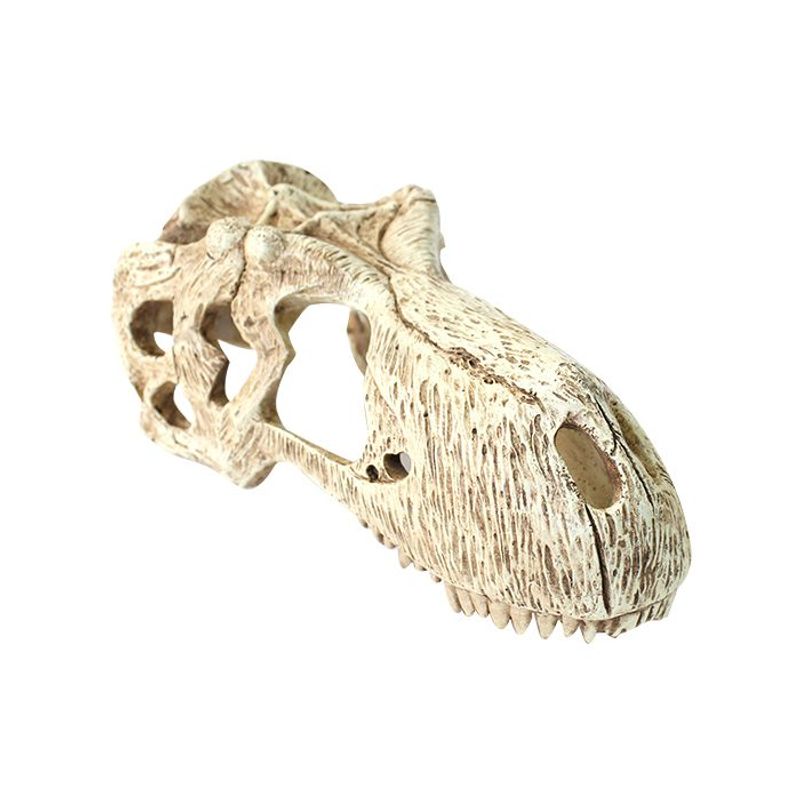 Komodo T-rex S