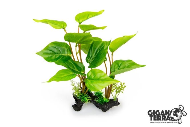 Hovedbilde Gigan terra Stående grønnplante 30cm - 00229