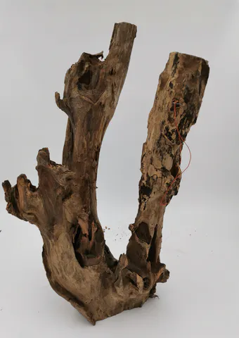 Hovedbilde Lurus M 40cm