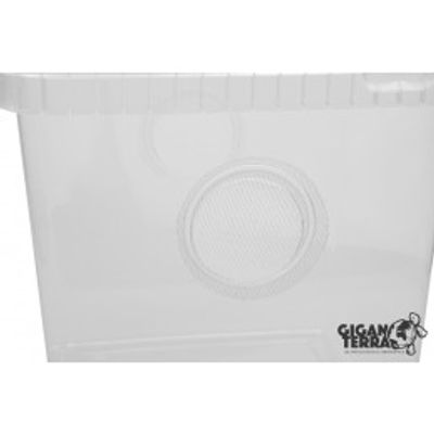 Hovedbilde Plast terrarie til insekter 15,5x15,5x19cm