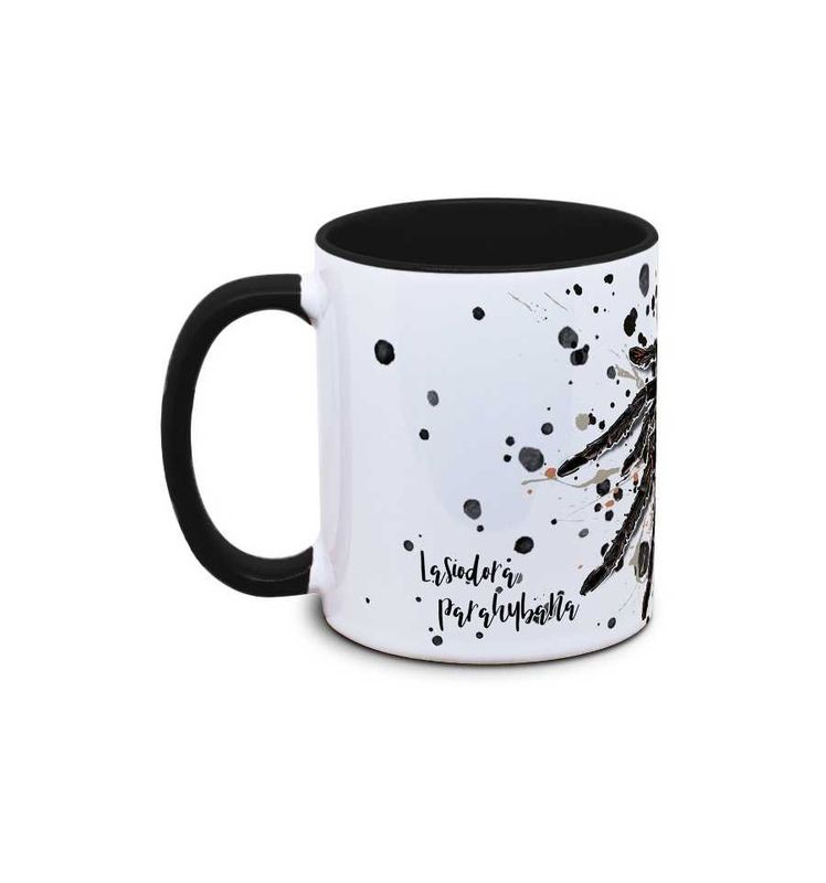 Kaffekopp tarantell Lasiodora parahybana