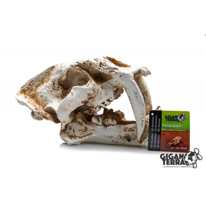 Sabeltanntiger XL  