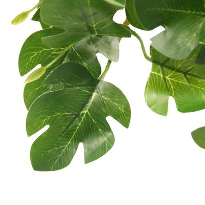 Hovedbilde HabiStat Hanging Vine Hyposis 60cm