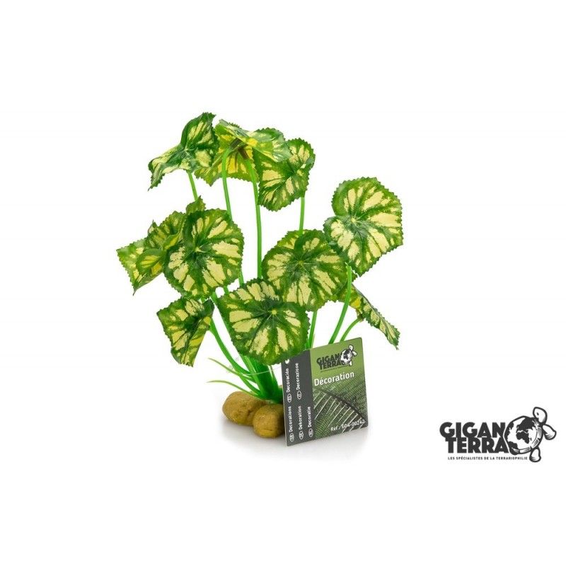 Plante sur pied nr3  21cm