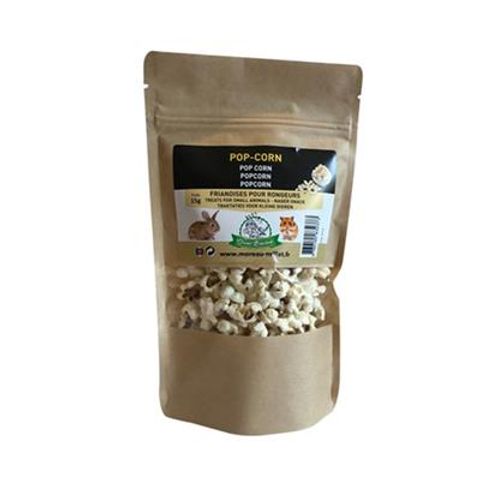 Hovedbilde Gnager Snacks Popcorn 17 g