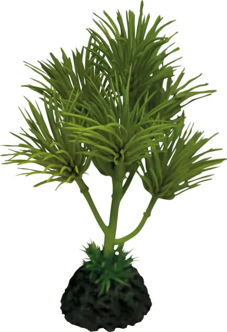 Hovedbilde REPTO PLANT CACTUS PALM