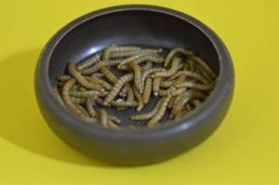 Hovedbilde Melorm 50g/ MÅ HENTES