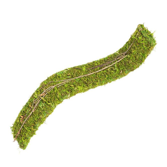 Hovedbilde Natural Moss Flex Bridge, Medium, 91×7.5x2cm