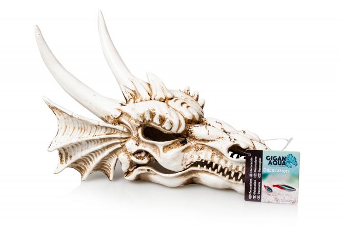 Hovedbilde Dragon XL -00719