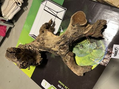 Hovedbilde Lurus rot S 30cm
