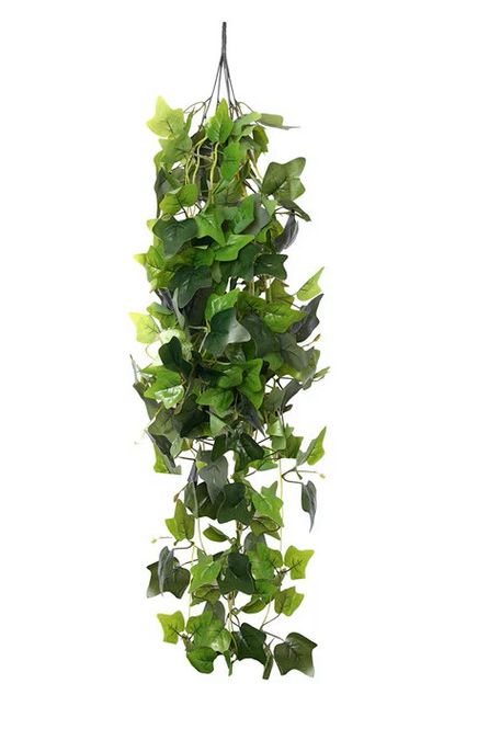 Hovedbilde HabiStat Hanging Vine Plus, Sweet potato100cm