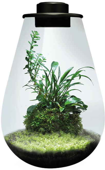 Hovedbilde BIOART DROP 345 BLACK