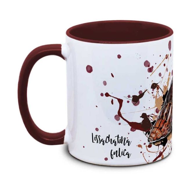 Hovedbilde KAFFEKOPP snegle Lissachatina fulica