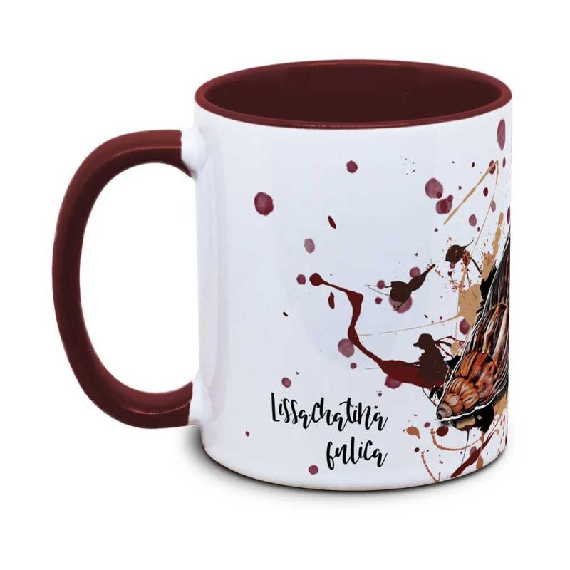 KAFFEKOPP snegle Lissachatina fulica