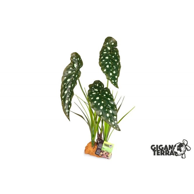 Hovedbilde Gigan plante 846 30x16x48cm