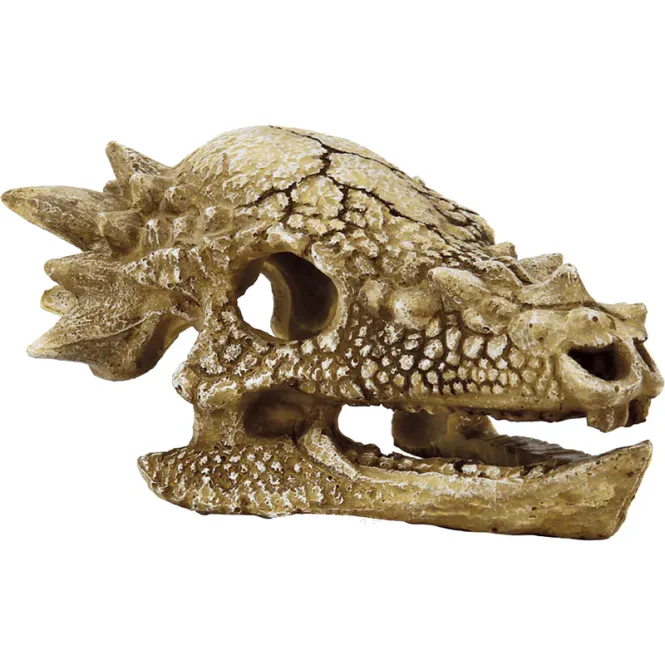 Hovedbilde SF SKULL T REX M
