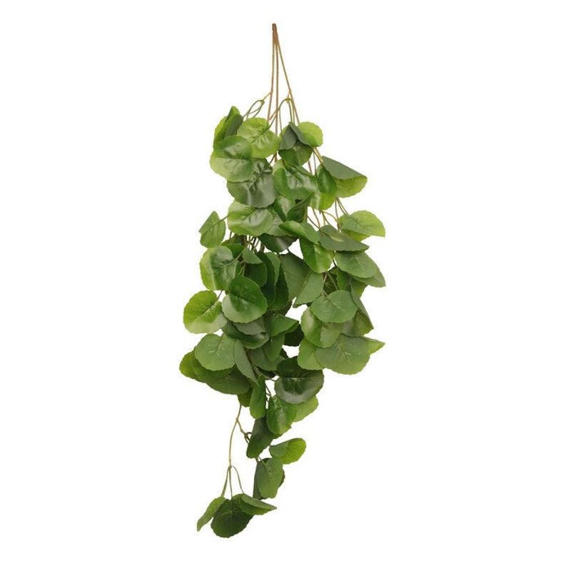 HabiStat Hanging Vine Begonia 60cm