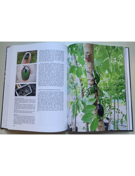 Breeding Beetles - The Substantial Guide By Benjamin Harink