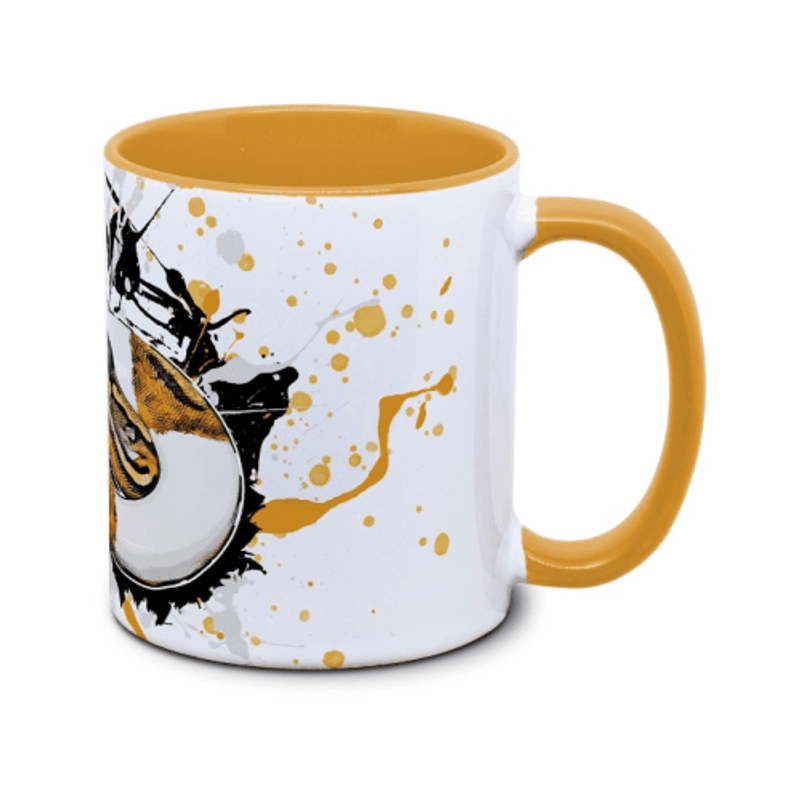 KAFFEKOPP KONGEPYTON / PYTHON REGIUS PIED