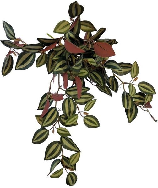 REPTO PLANT HANGING RED BACK 46 CM