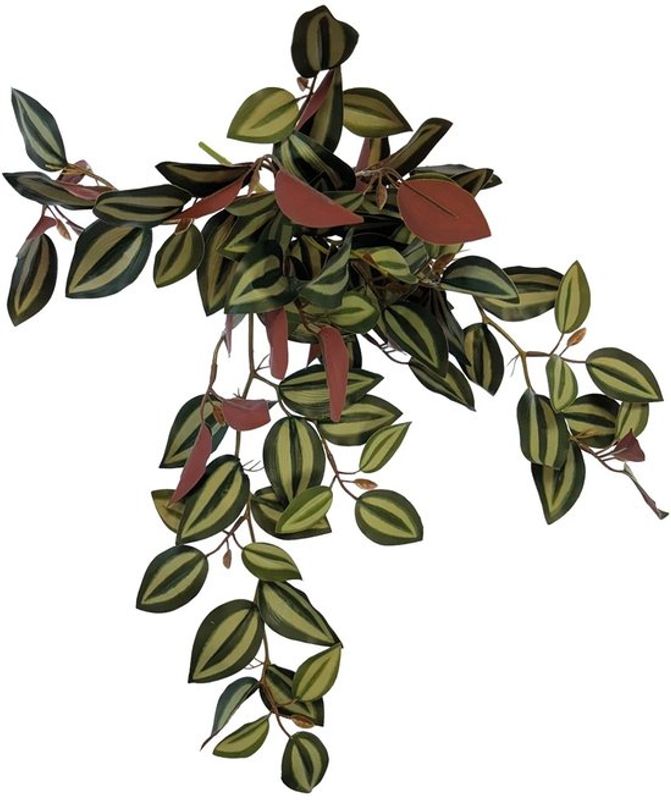 REPTO PLANT HANGING RED BACK 46 CM