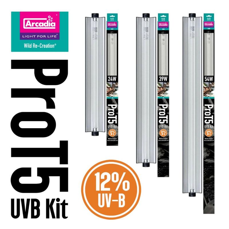 Arcadia Pro T5 uvb kit 12% 24w