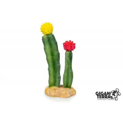 Hovedbilde Cactus rød/gul 8x6x18cm